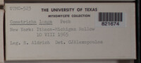 Image Associated With the Occurence